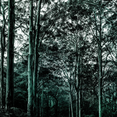 Environmental taxes